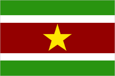 Flag of Suriname