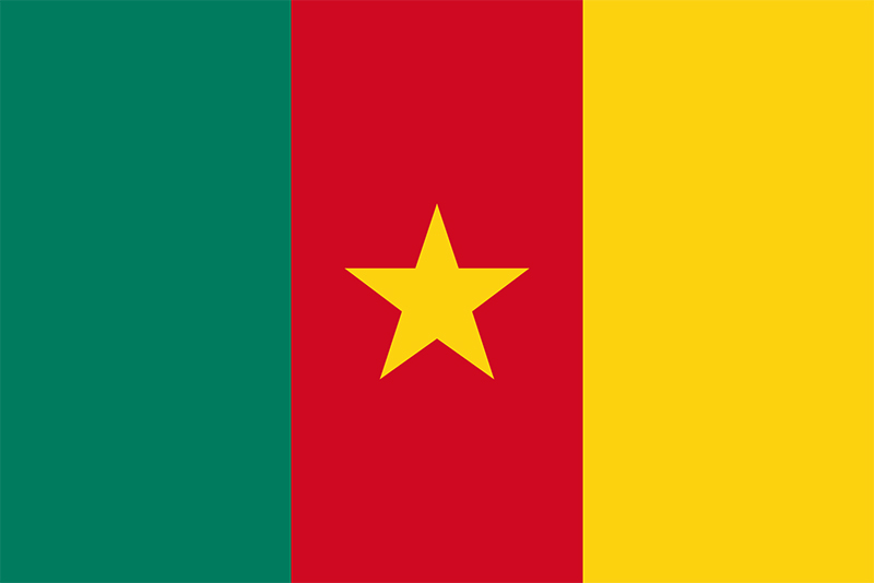 Flag of Cameroon