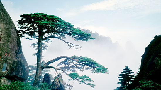 Huangshan Tourism Development Co., Ltd. (600054)