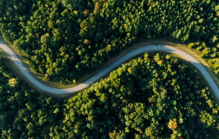 森林公路 航拍风景4k壁纸护眼